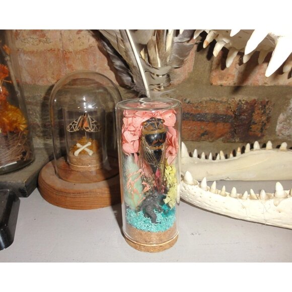 Cicada & Bigfoot Oddity Jar curiosity dome cryptid insect taxidermy floral goth - Picture 7 of 16